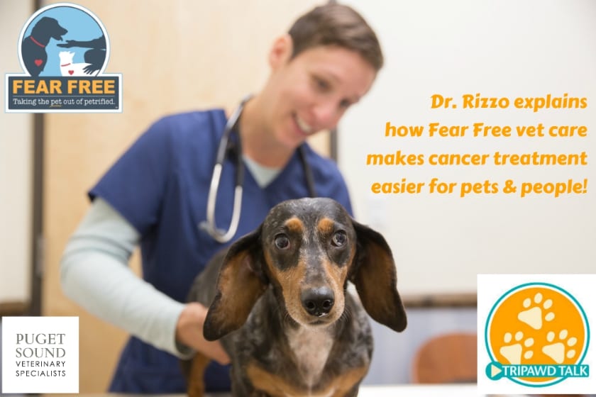 fear free cancer care for Tripawds