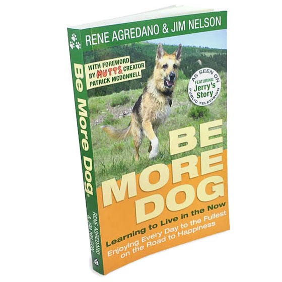 Be More Dog Book