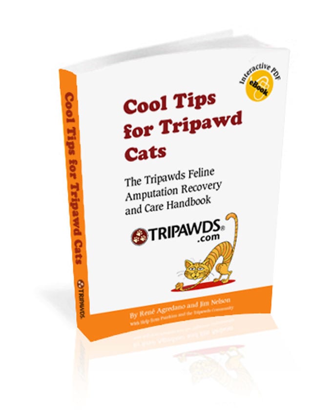 Tripawds E-book 3
