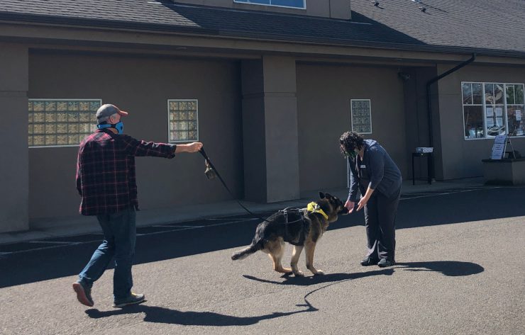 Tripawd pandemic vet care