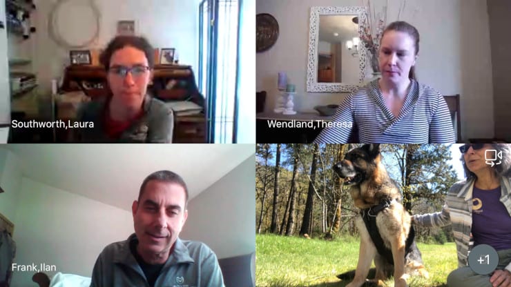 Tripawd pandemic vet care