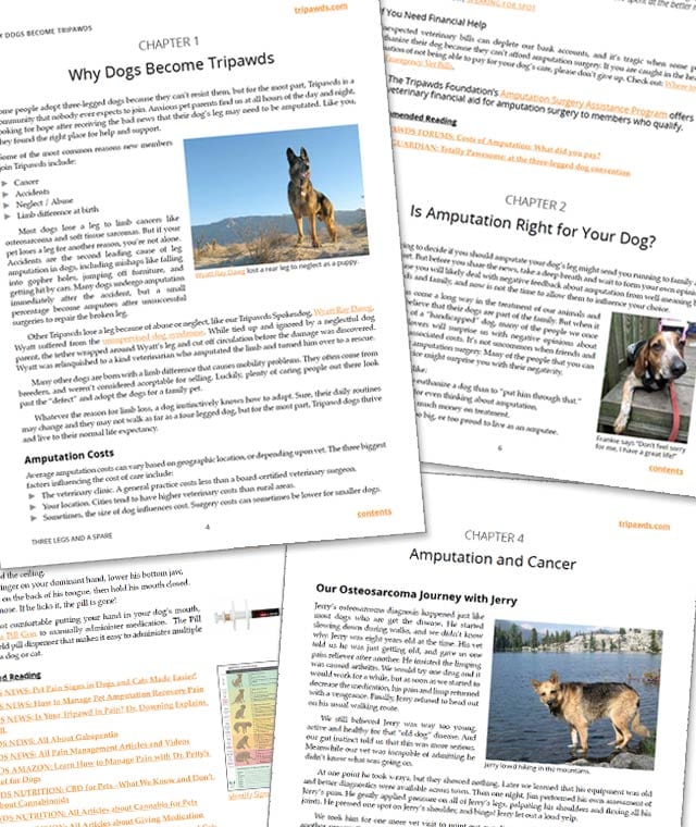 dog amputation ebook
