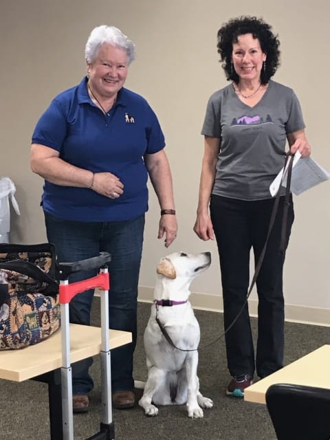 Tripawd agility advocate Ari
