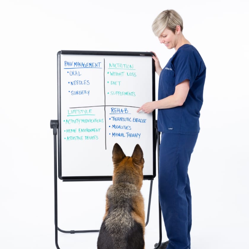 How to manage arthritis in Tripawds