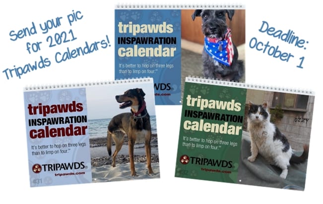 2021 Tripawds Calendar Photos