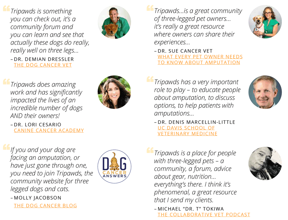veterinary testimonials