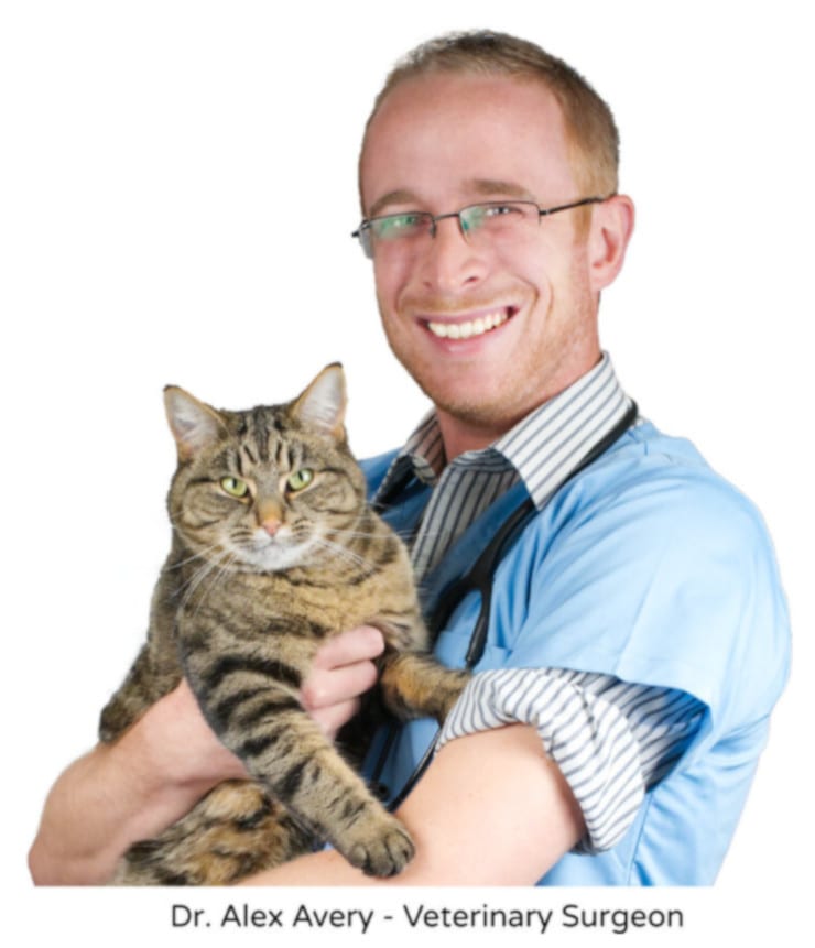Alex Avery Our Pets Health