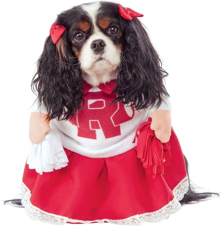 Funny Dog Cheerleader Costume