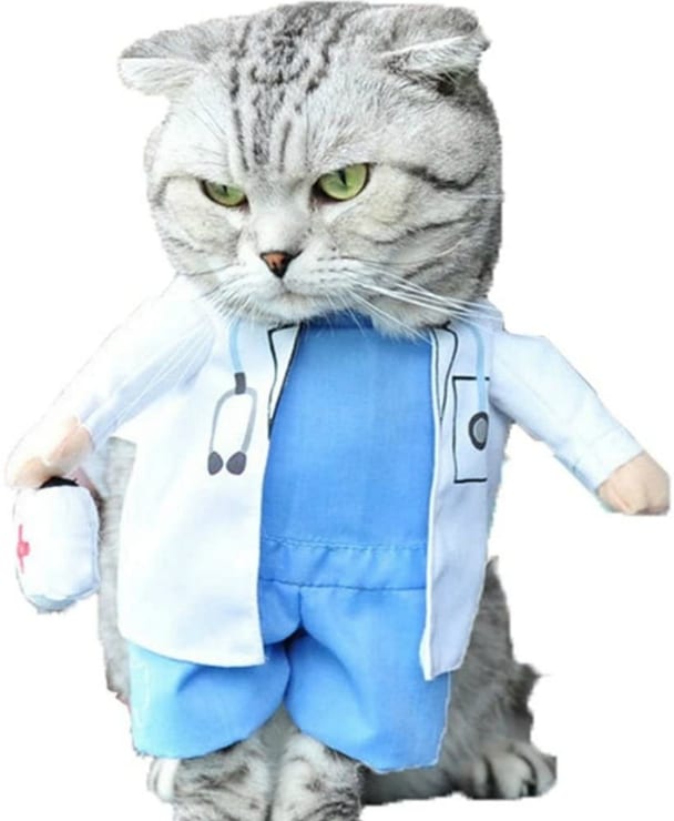 Cat Dog Doctor Tripawd Costume