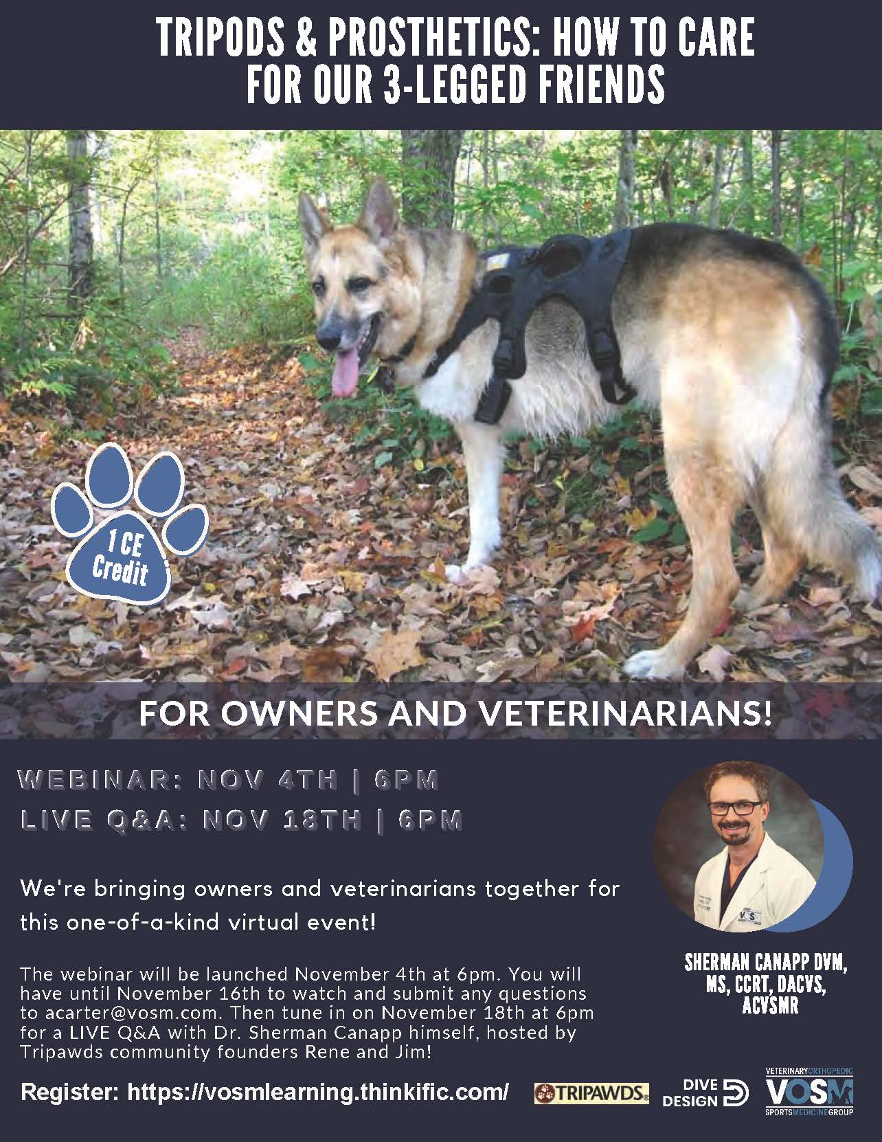 Prosthetics and Tripawds