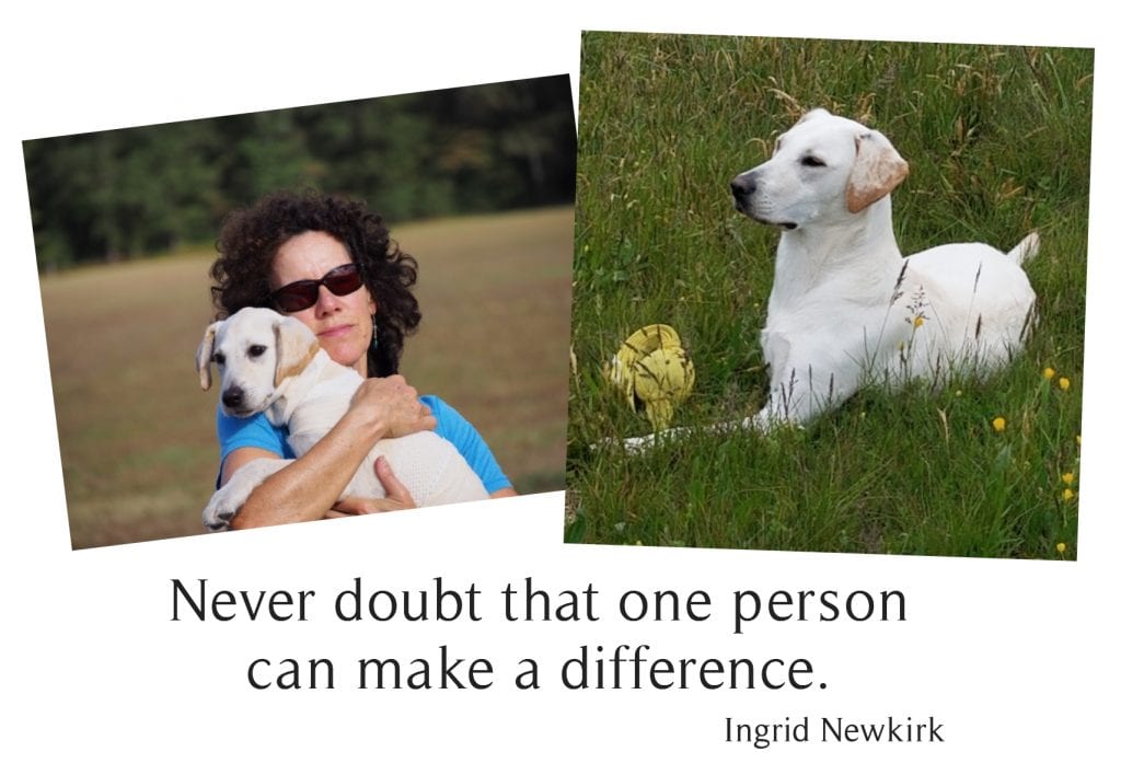 Tripawds Can Compete in AKC