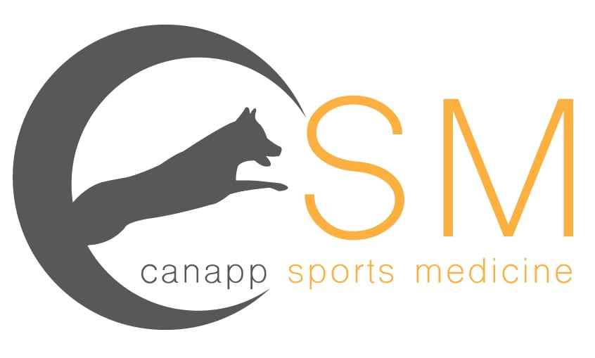 pet prosthetic consultation