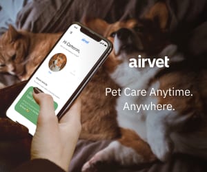 airvet chat