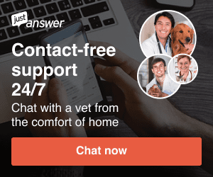 JustAnswer Vet