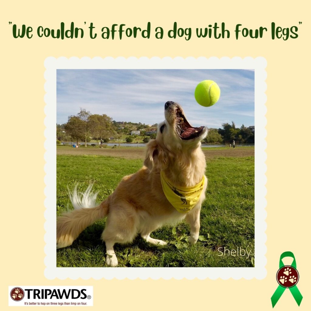 negative comments about Tripawds