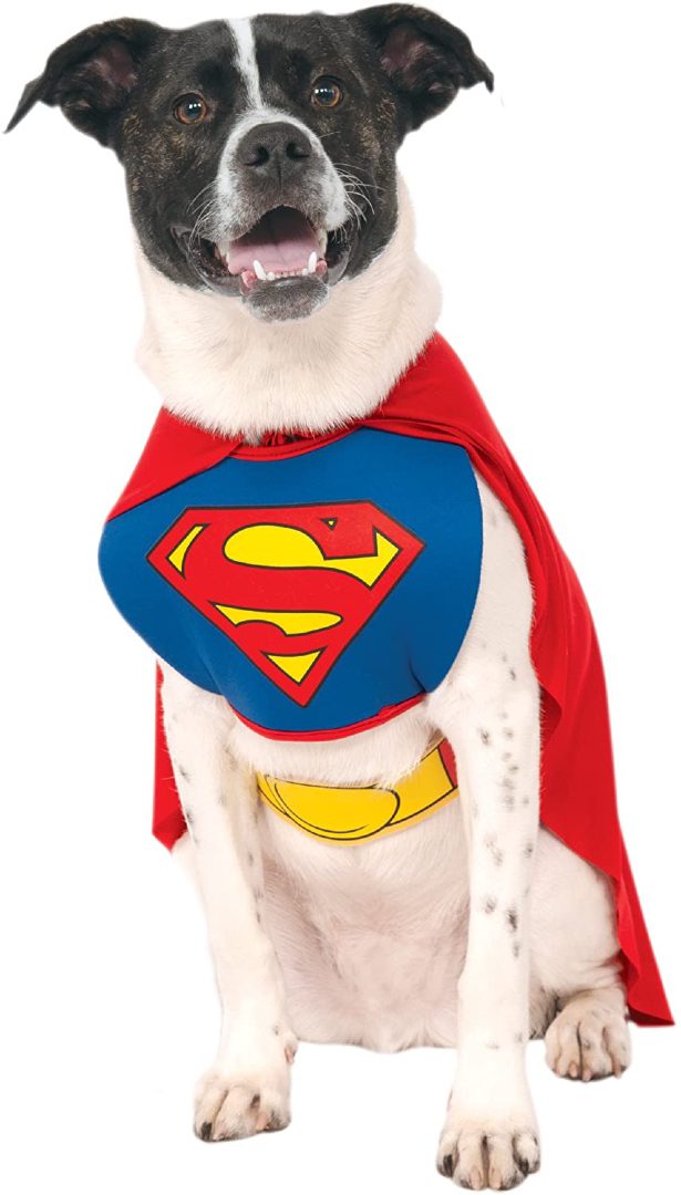 Three-legged Superhero Dog