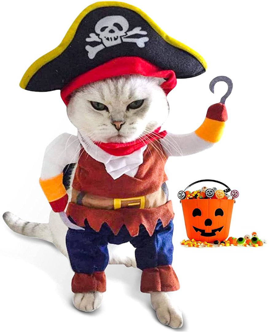 Tripod Cat Pirate Costume