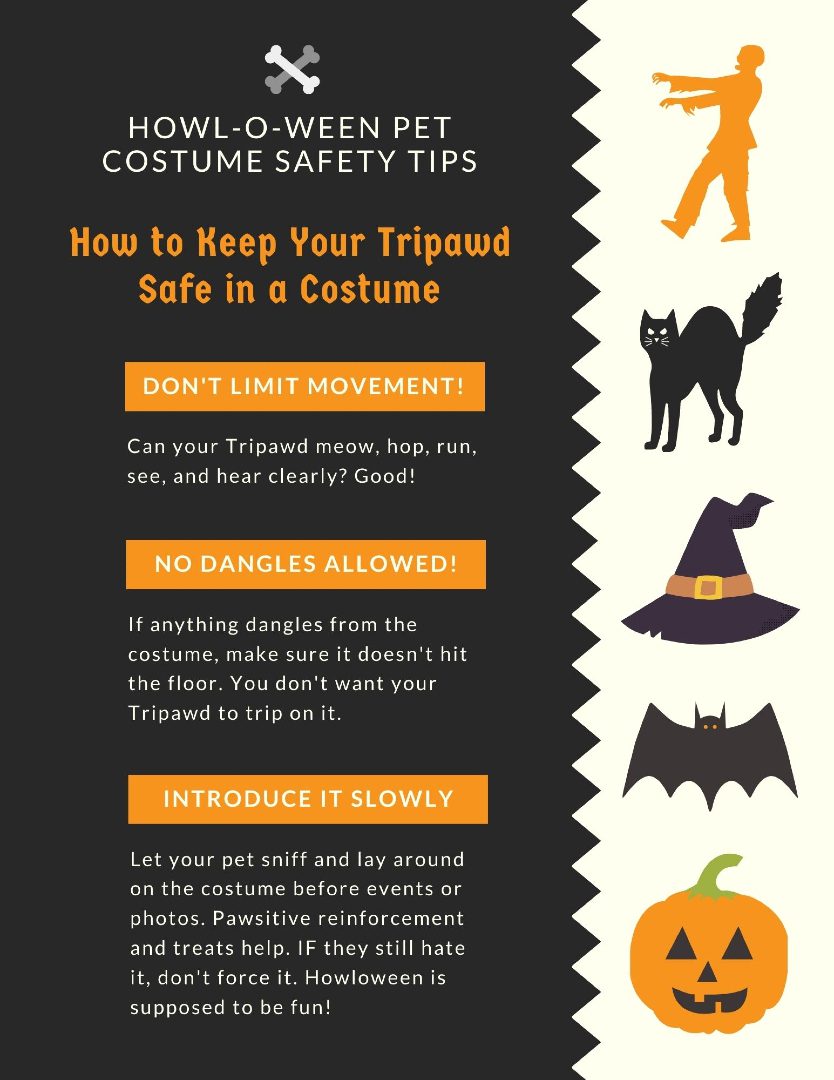 Tripawd Halloween Safety Tips