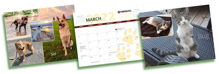2022 Tripawds Calendars