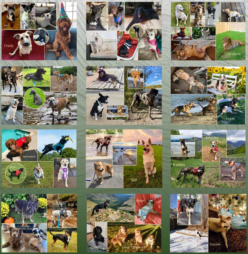 Tripawds Calendar