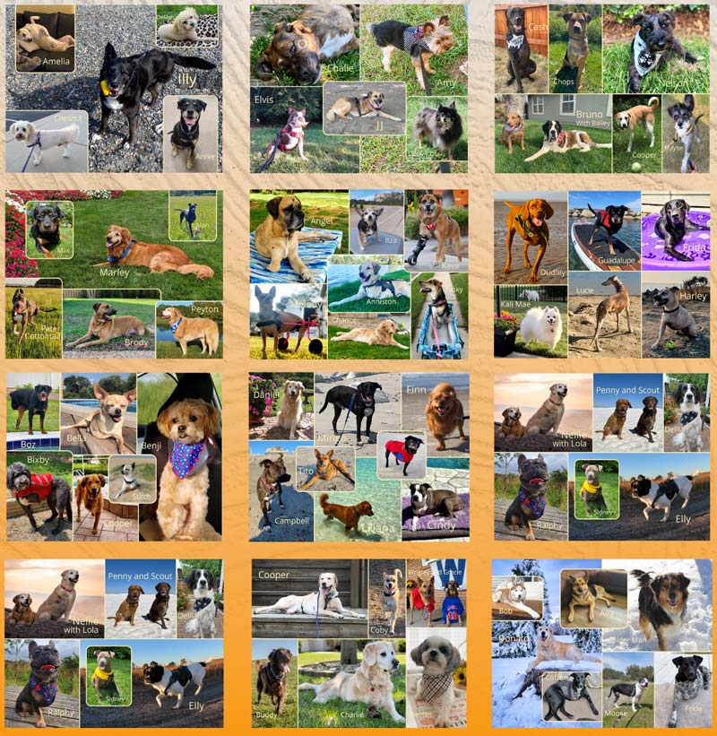 Tripawds Calendar