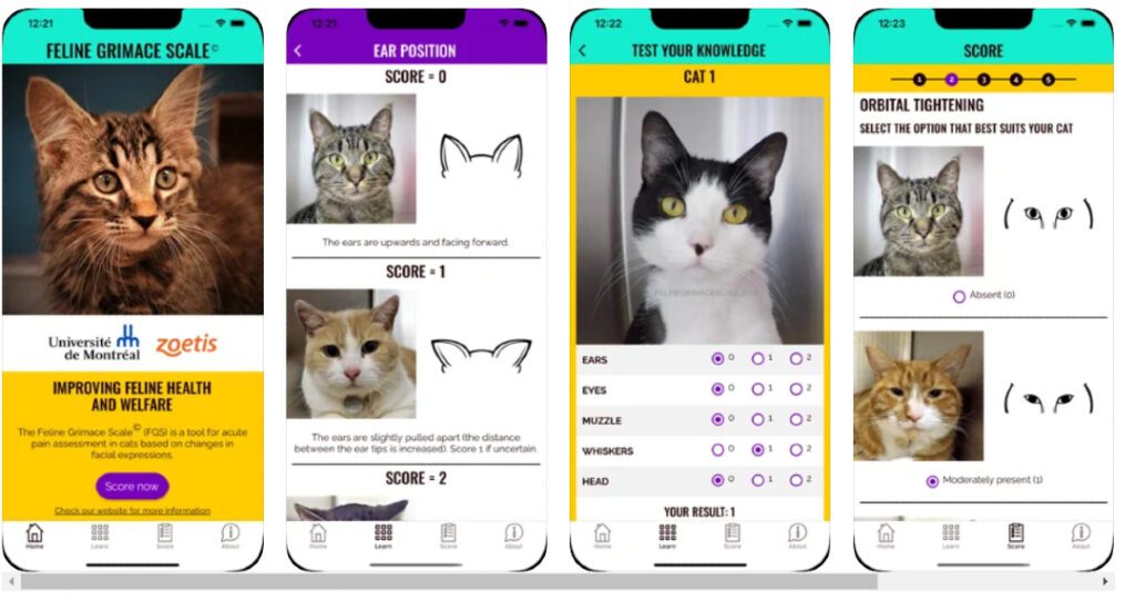 Feline Grimace Scale App