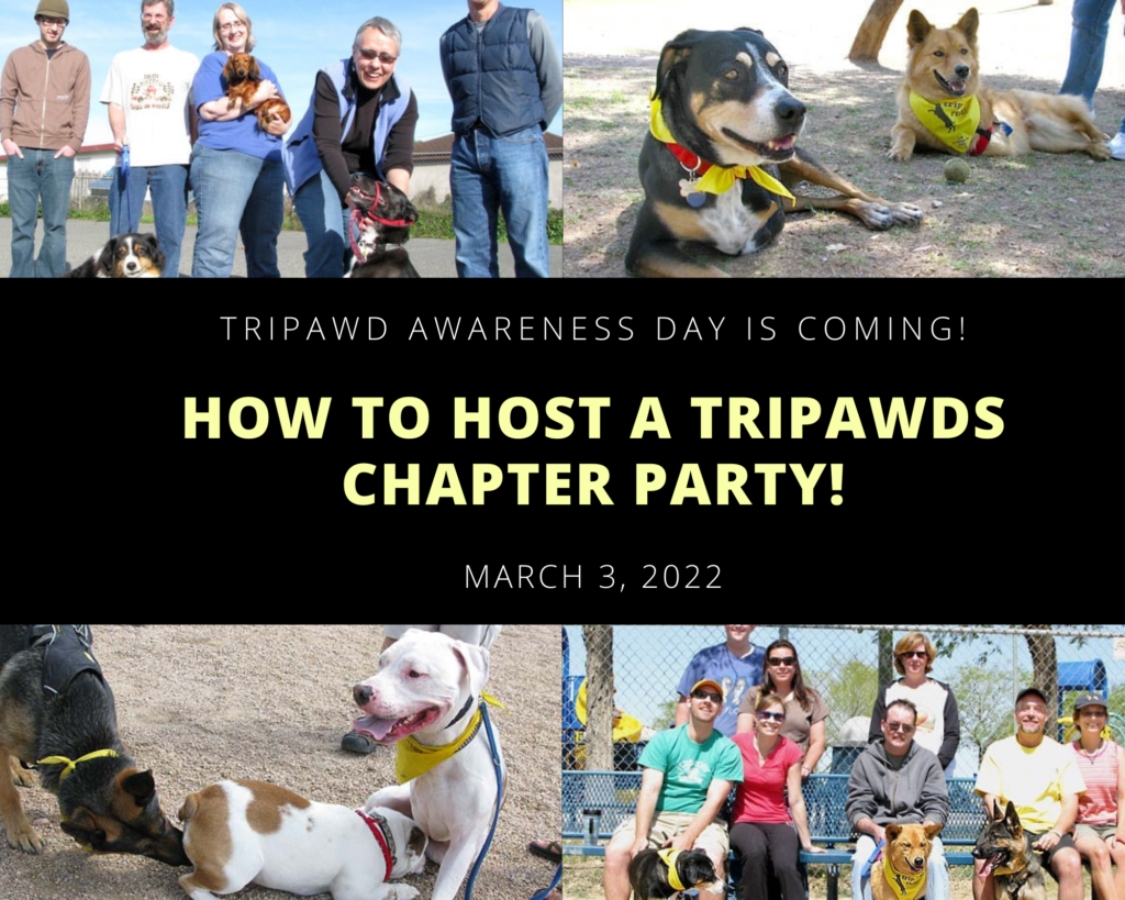 plan a tripawds chapter party