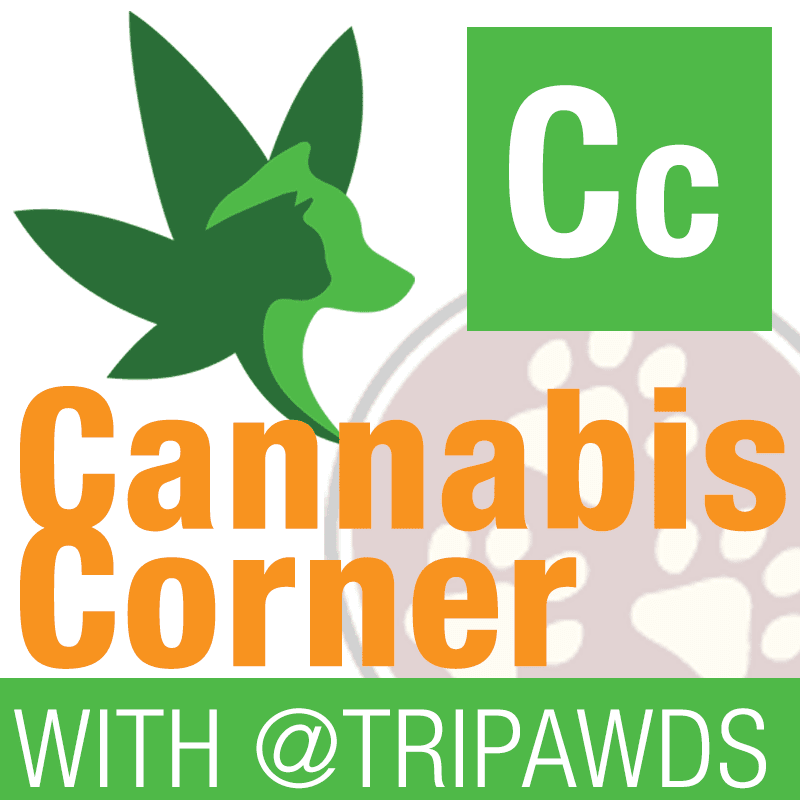 Veterinary Cannabis Corner