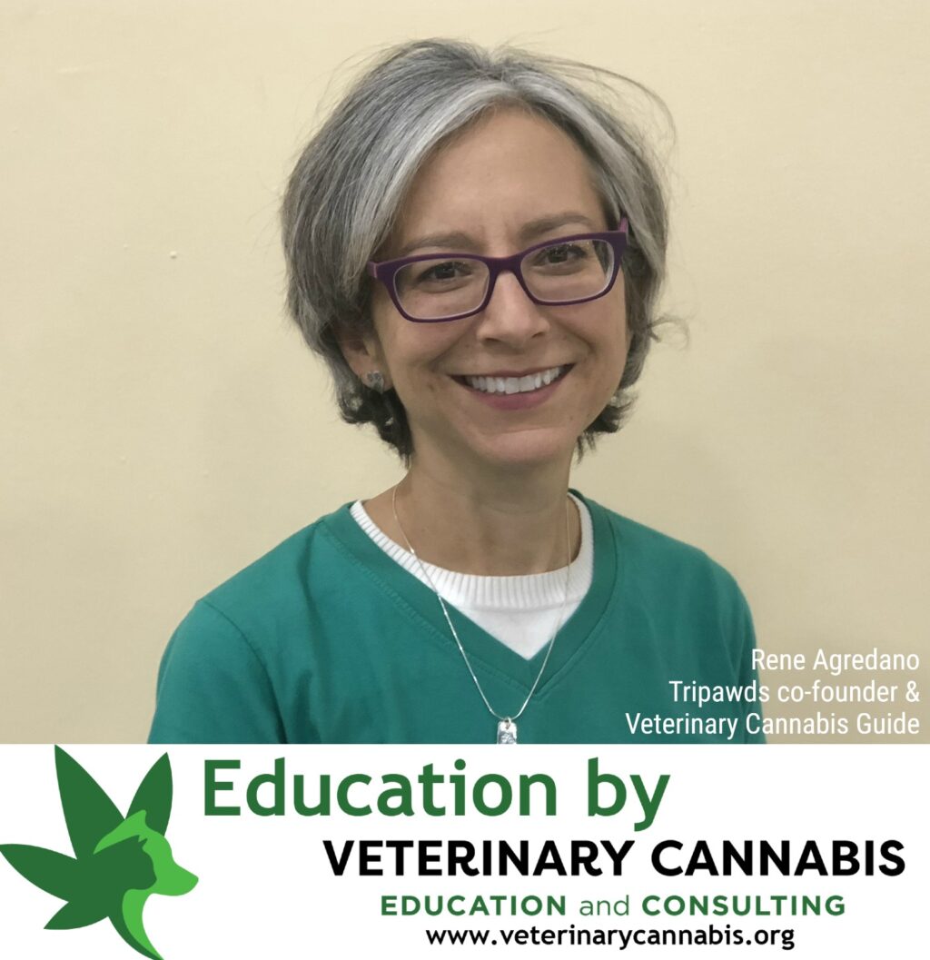 Veterinary Cannabis Guide Rene Agredano