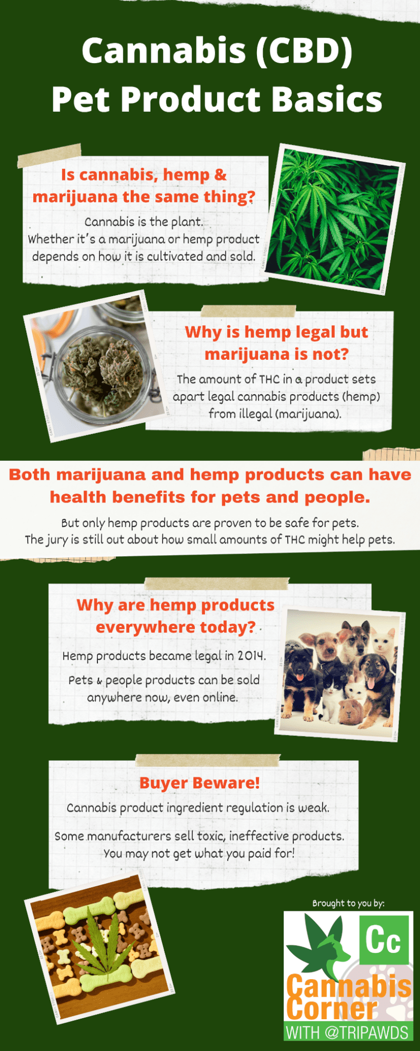 Cannabis CBD Pet Products Infographics