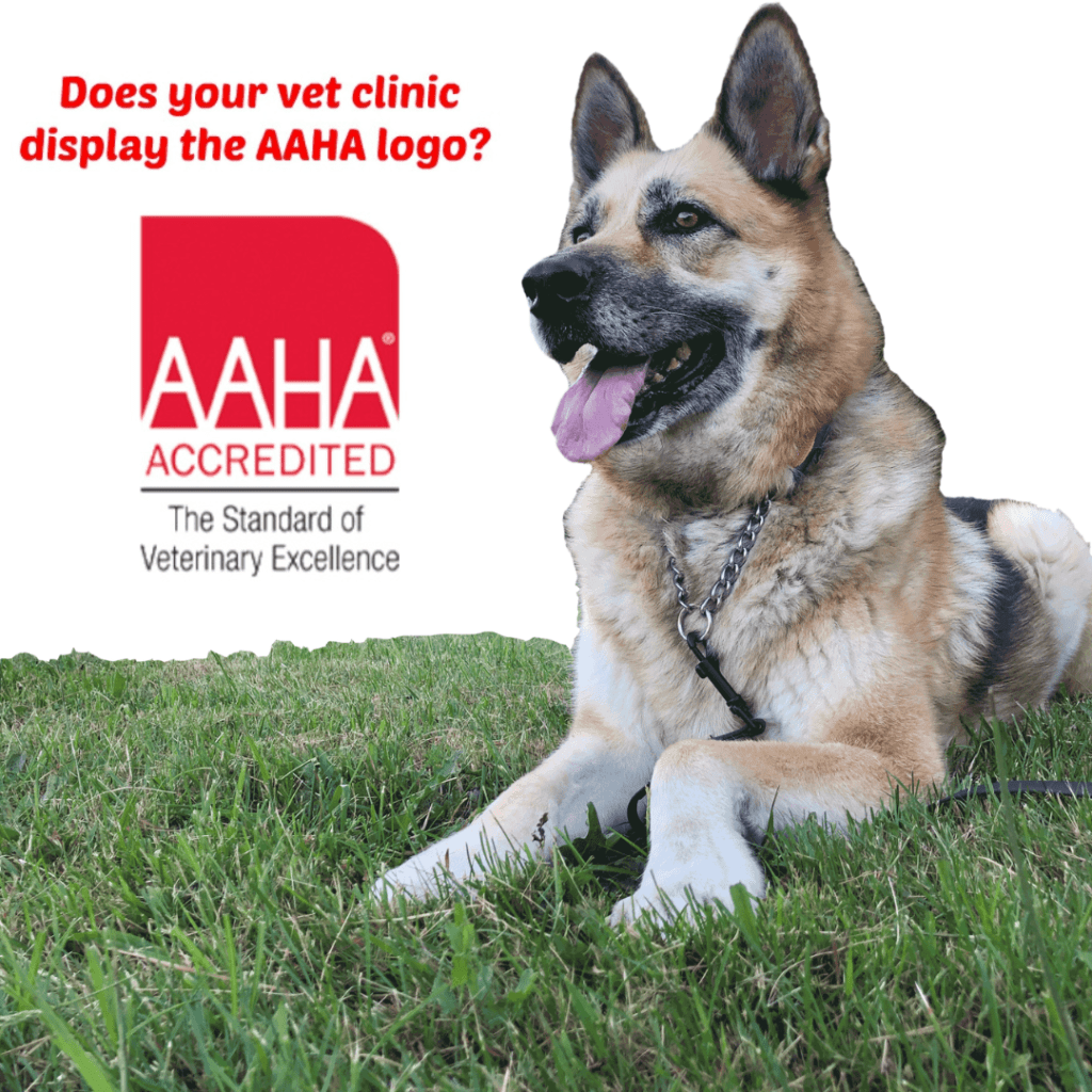 Tripawds loves AAHA-accredited vet hospitals