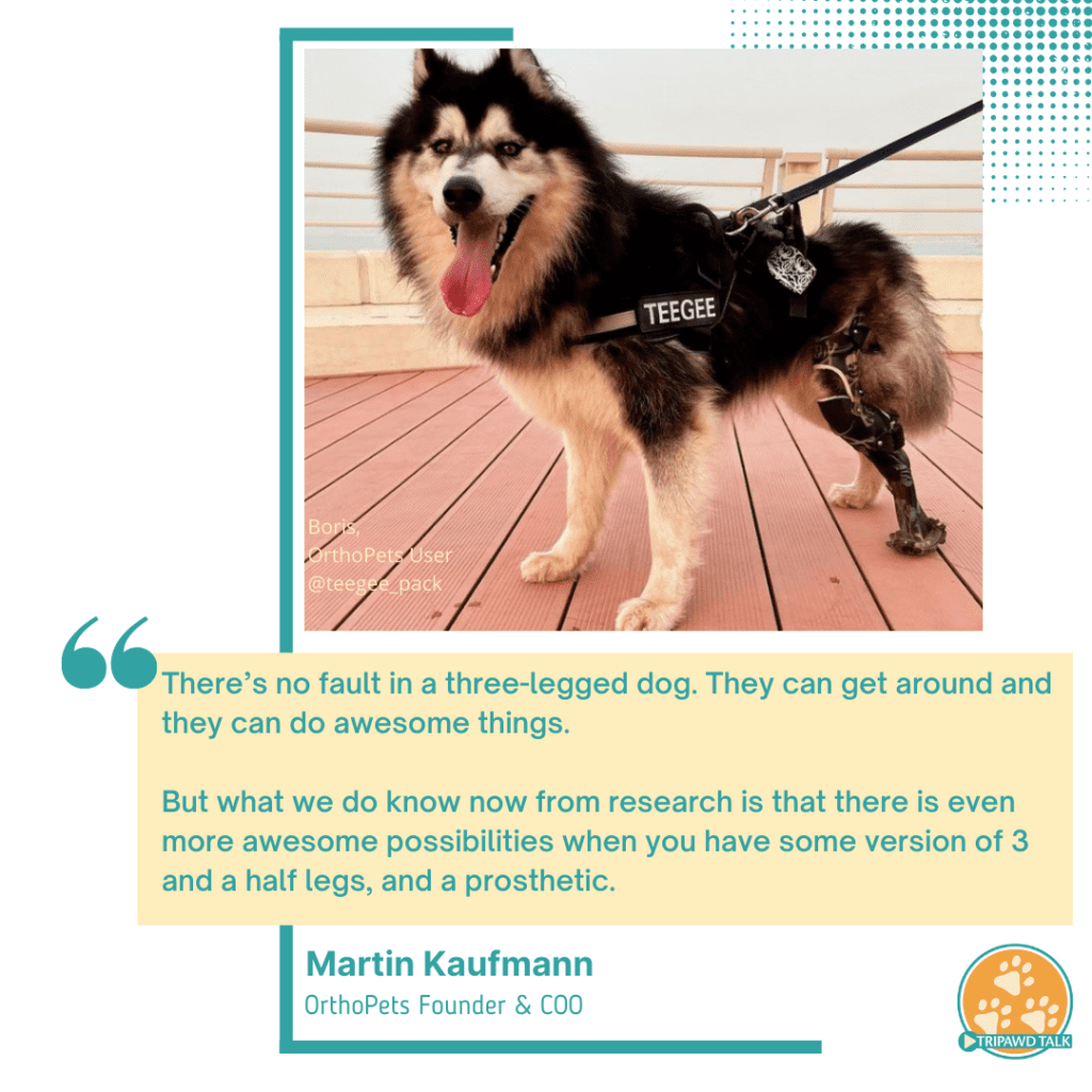 OrthoPets Tripawd Prosthetics