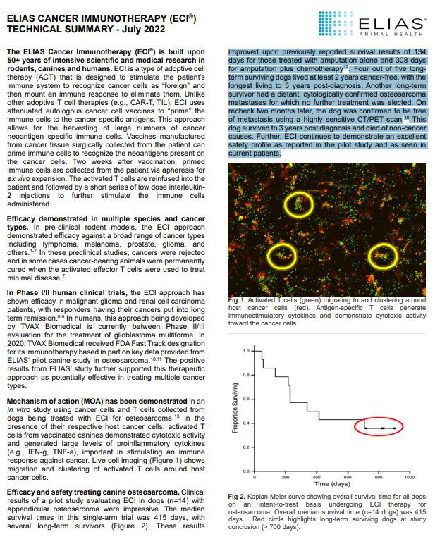 ELIAS 2022 Immunotherapy for Pet Cancer Study Results