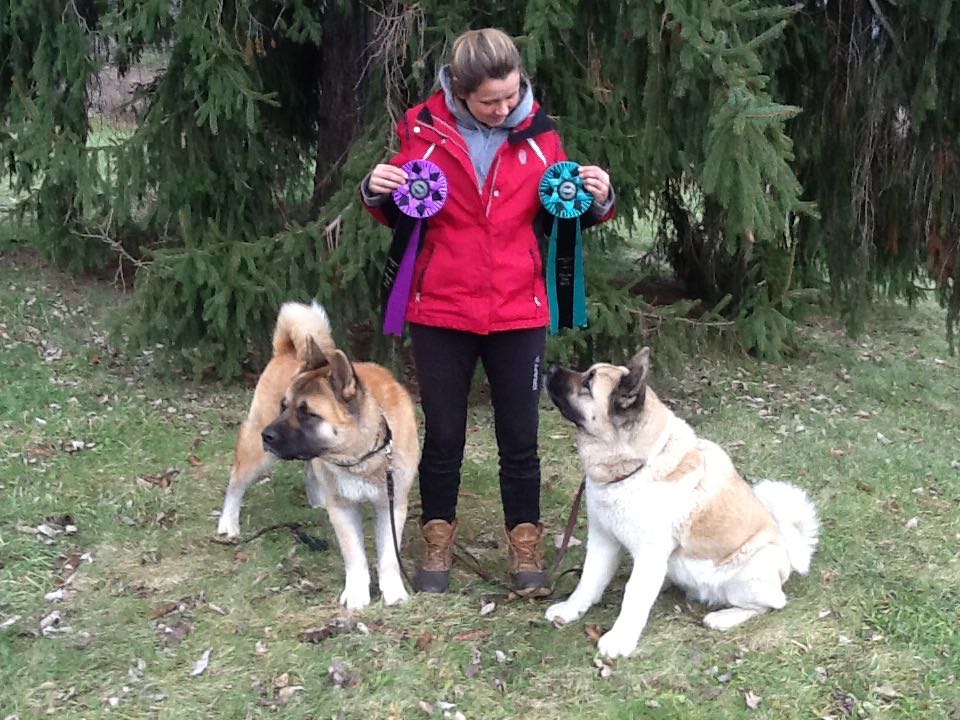 Brainy Canine Scent Work Dogs Brainy Canine Scent Work Dogs