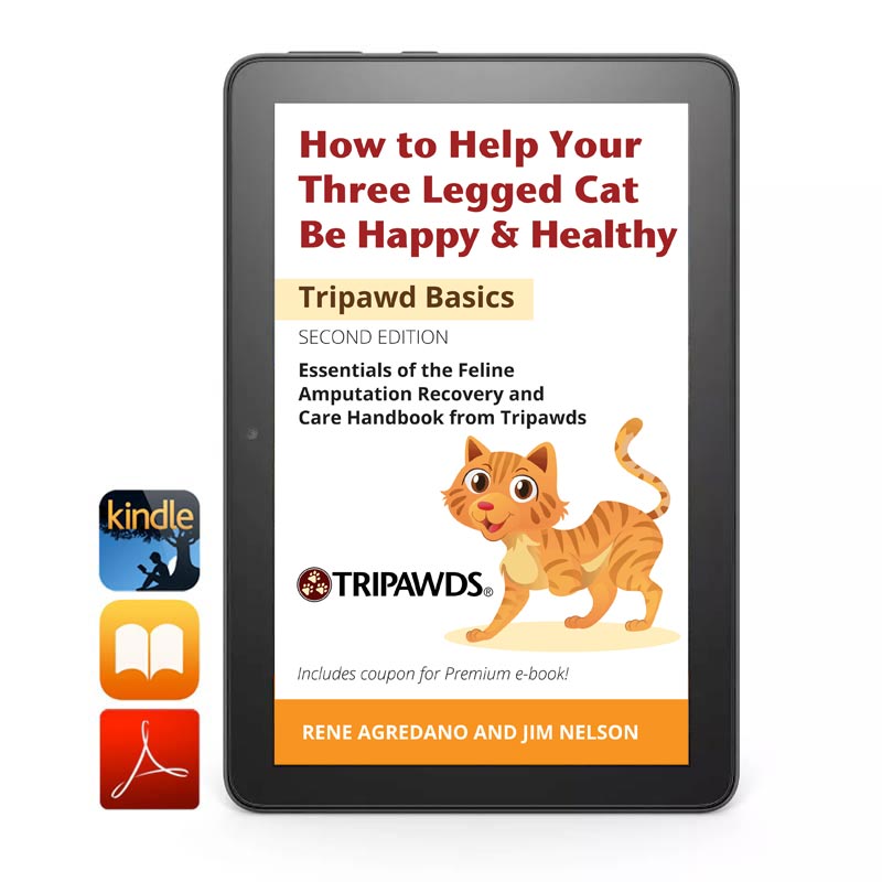 three legged cat book