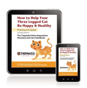 three legged cat book
