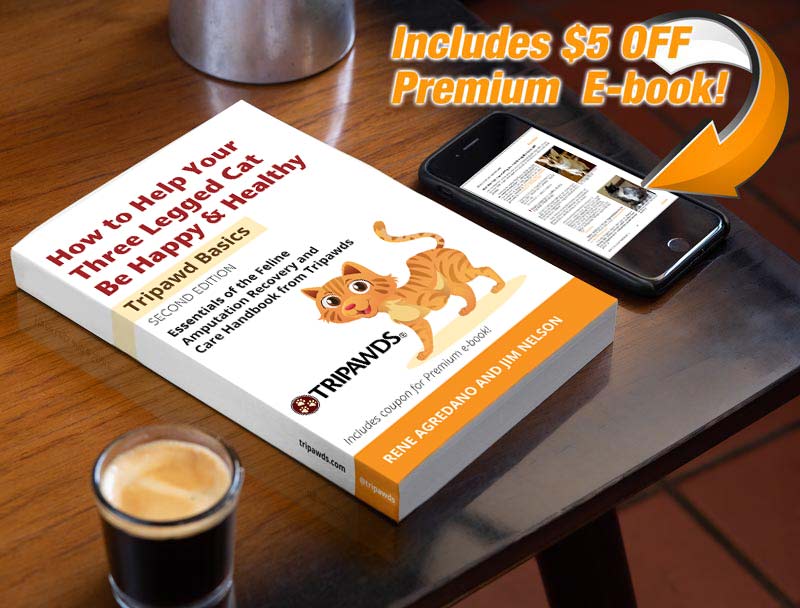Get Tripawd Basics Paperback three legged cat book