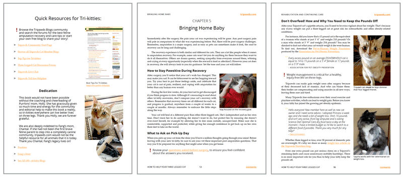 Preview Book Pages three legged cat book