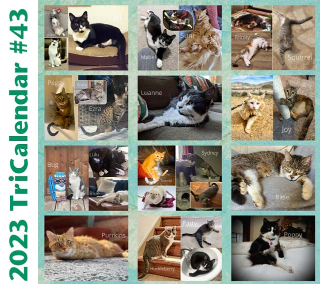 2023 Tripawds Calendar