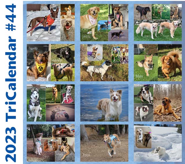 2023 Tripawds Calendar