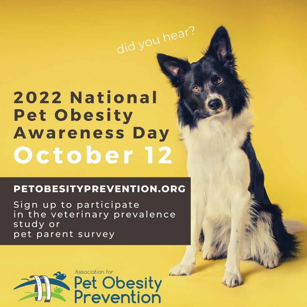 2022 Pet Obesity Prevention Survey