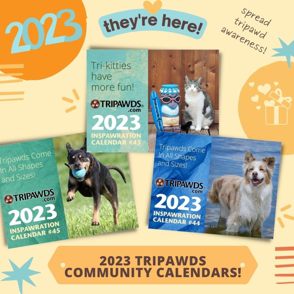 Tripawds Calendars 2023
