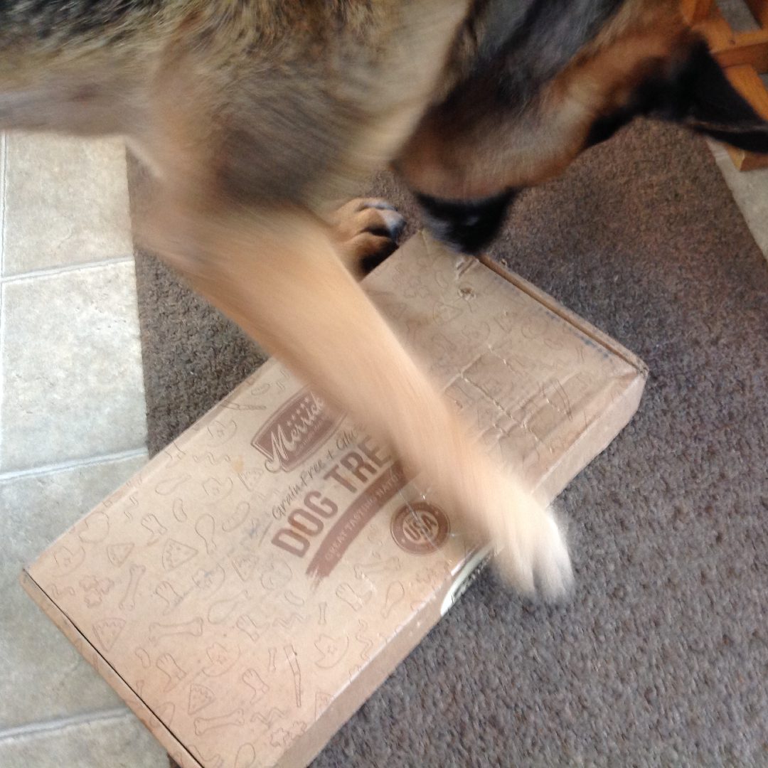 Best Food and Nutrition Tips for Tripawds