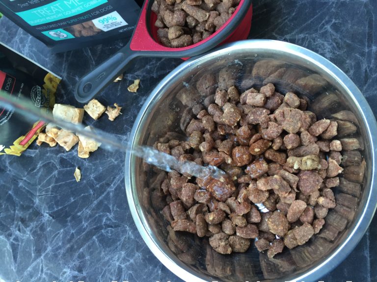 Best Food and Nutrition Tips for Tripawds
