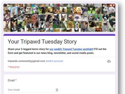 Tripawd Tuesday love story form