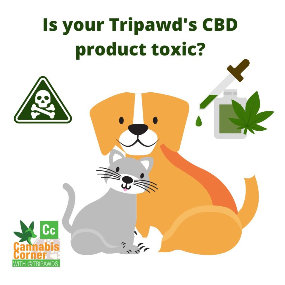 Is your Tripawd's CBD product toxic?