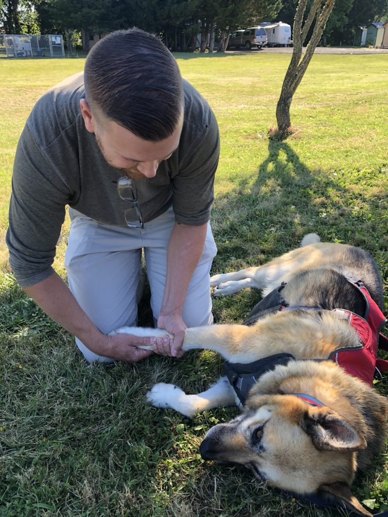 honorary Tripawd gets rehab therapy passive range of motion exercises