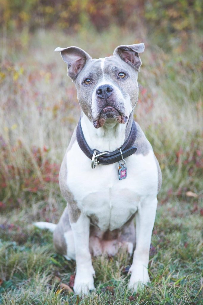 Isis overcame osteosarcoma for 2.5 years!