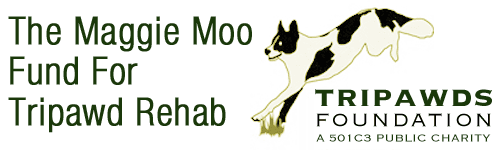free Tripawd rehab therapy