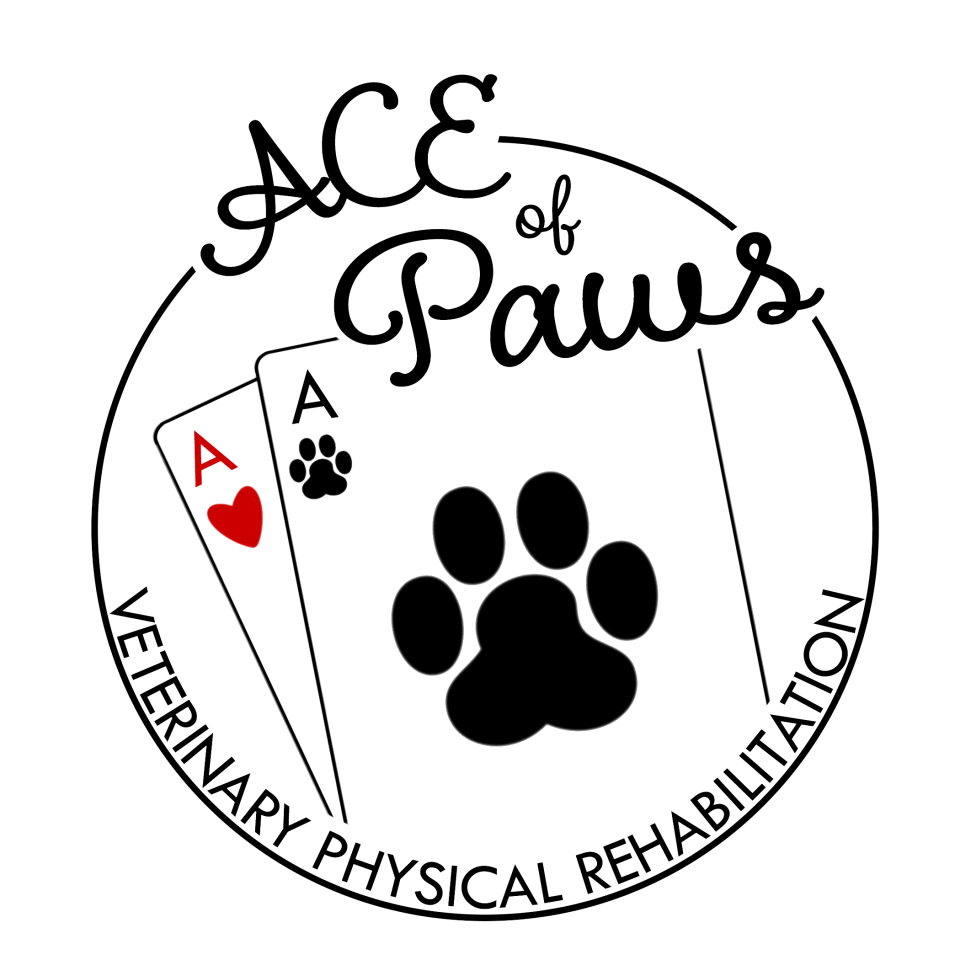 Ace of Paws Veterinary Physical Rehabilitation Therapy